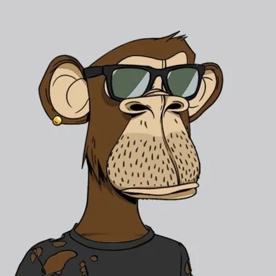 Photo of themiamiape